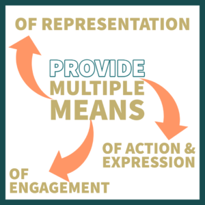 Provide multiple means of representation, action, and engagement.